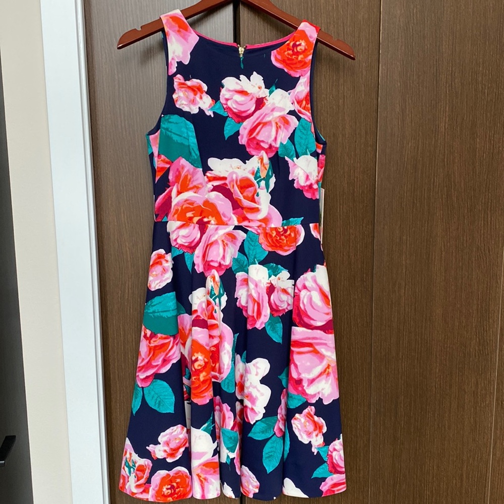 Brand new, Eliza J, navy floral, knee length dress, size 6